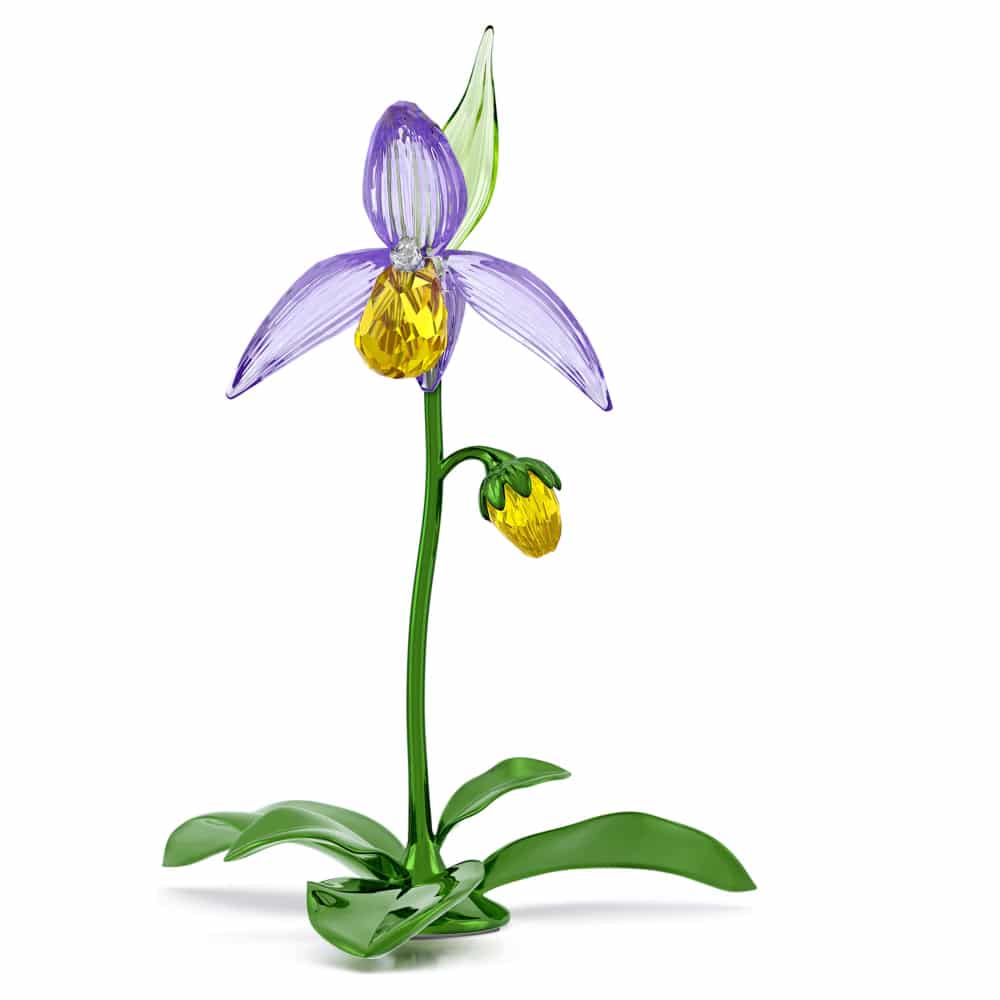 Swarovski Florere Lady Slipper Orchid with sparkling crystal petals and detailed floral design.