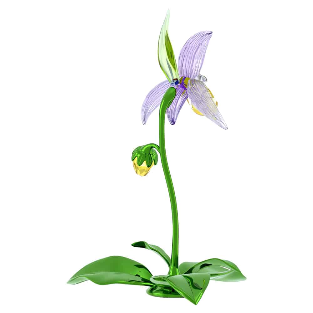 Swarovski Florere Lady Slipper Orchid jewelry in crystal with detailed petal and leaf design, showcasing elegant craftsmanship.