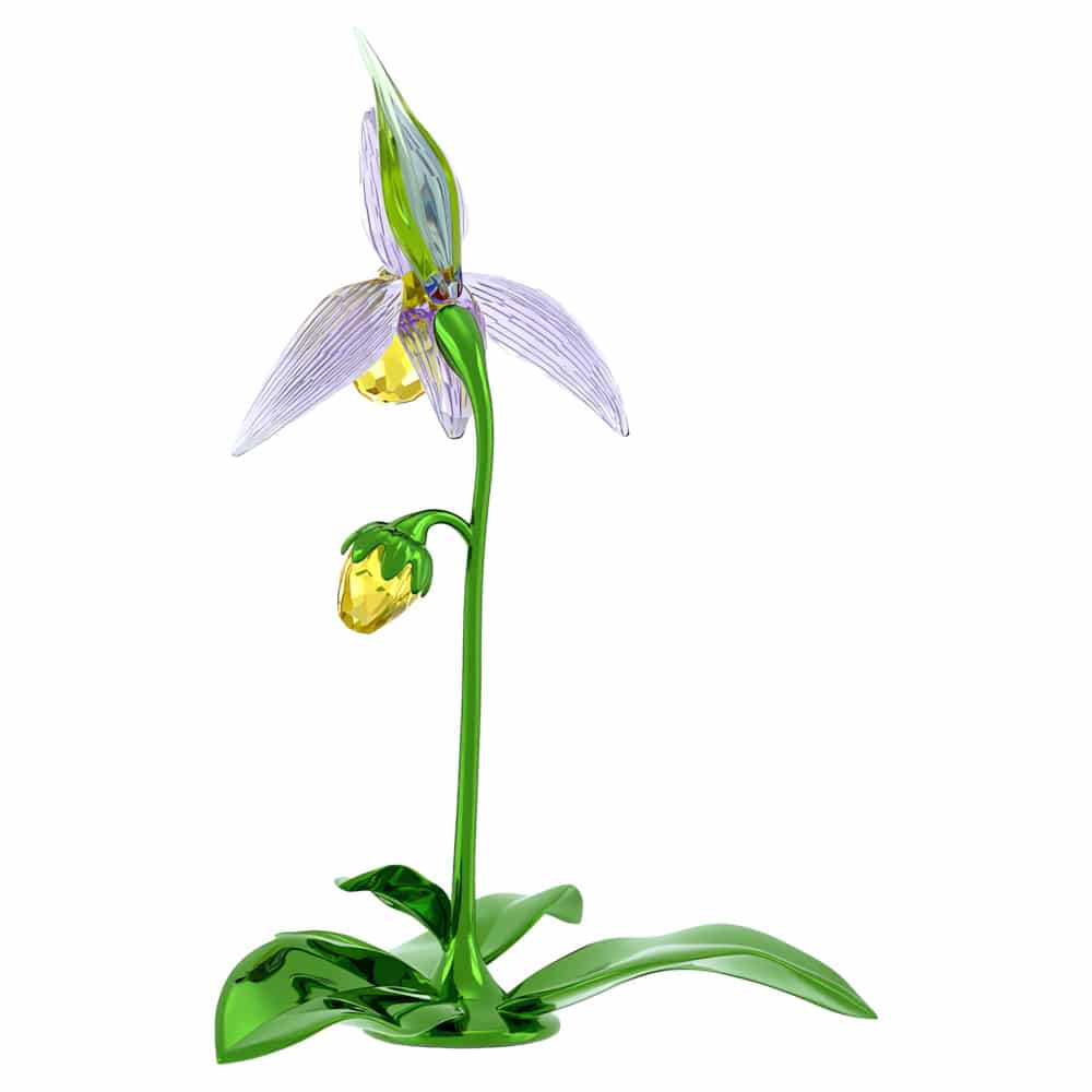 Swarovski Florere Lady Slipper Orchid jewelry piece featuring intricate crystal details and elegant design.