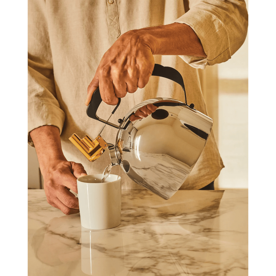 Alessi Induction Hob Kettle Richard Sapper -Alessi