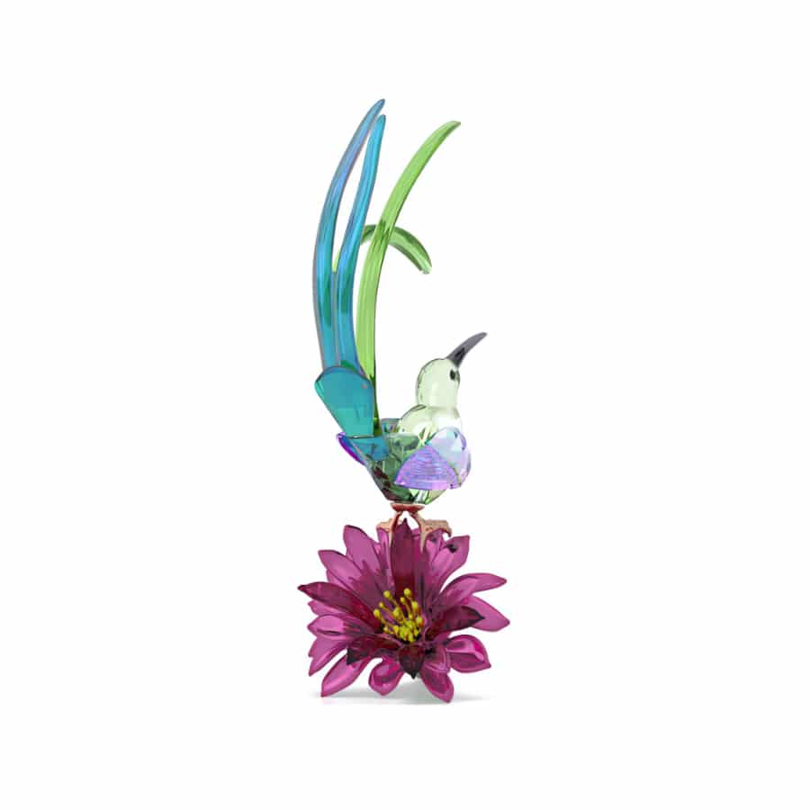 Swarovski Idyllia Sugarbird and Cactus Flower glass figurine with detailed crystal craftsmanship.