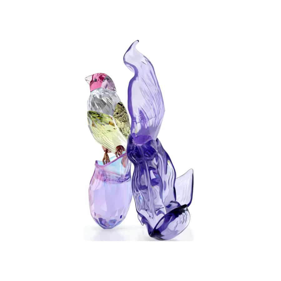 Swarovski Idyllia Gouldian Finch and Orchid crystal figurine with detailed bird and floral design, sparkling and intricate craftsmanship