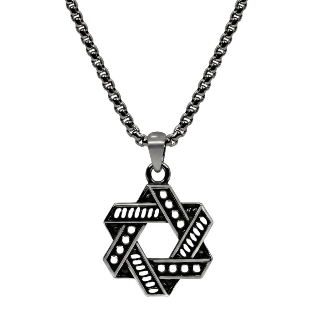 ARZ Steel Star of David pendant on a 24-inch chain, silver-tone jewelry with detailed religious symbol design.