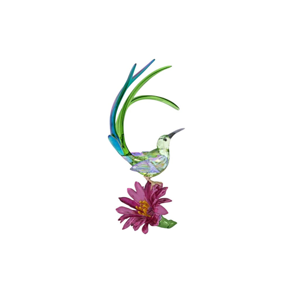 Swarovski Idyllia Sugarbird and Cactus Flower crystal figurine with detailed, sparkling design on a neutral background.