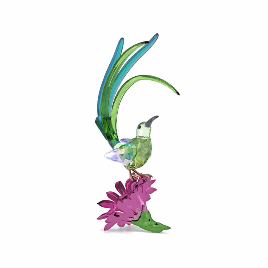 Swarovski Idyllia Sugarbird and Cactus Flower crystal figurine with sparkling details and vibrant colors.
