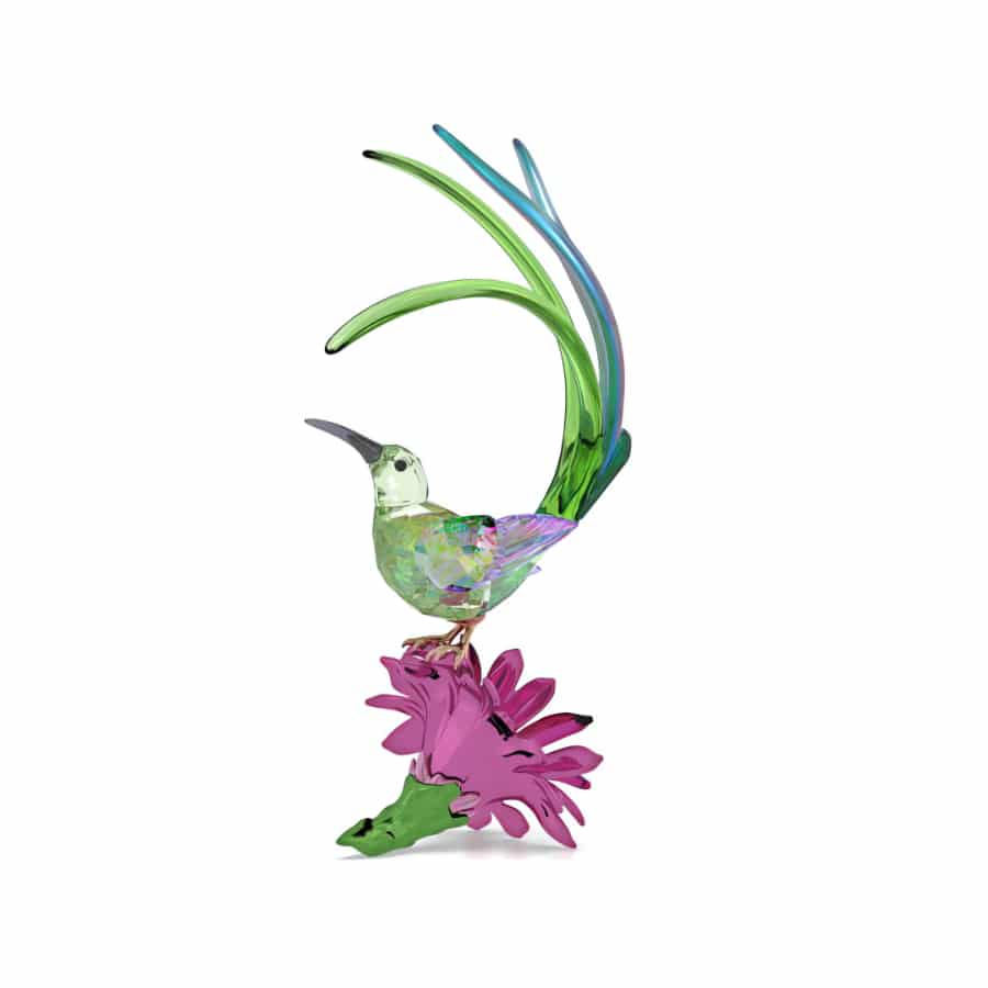 Swarovski Idyllia Sugarbird and Cactus Flower crystal figurine with intricate details and vibrant colors.