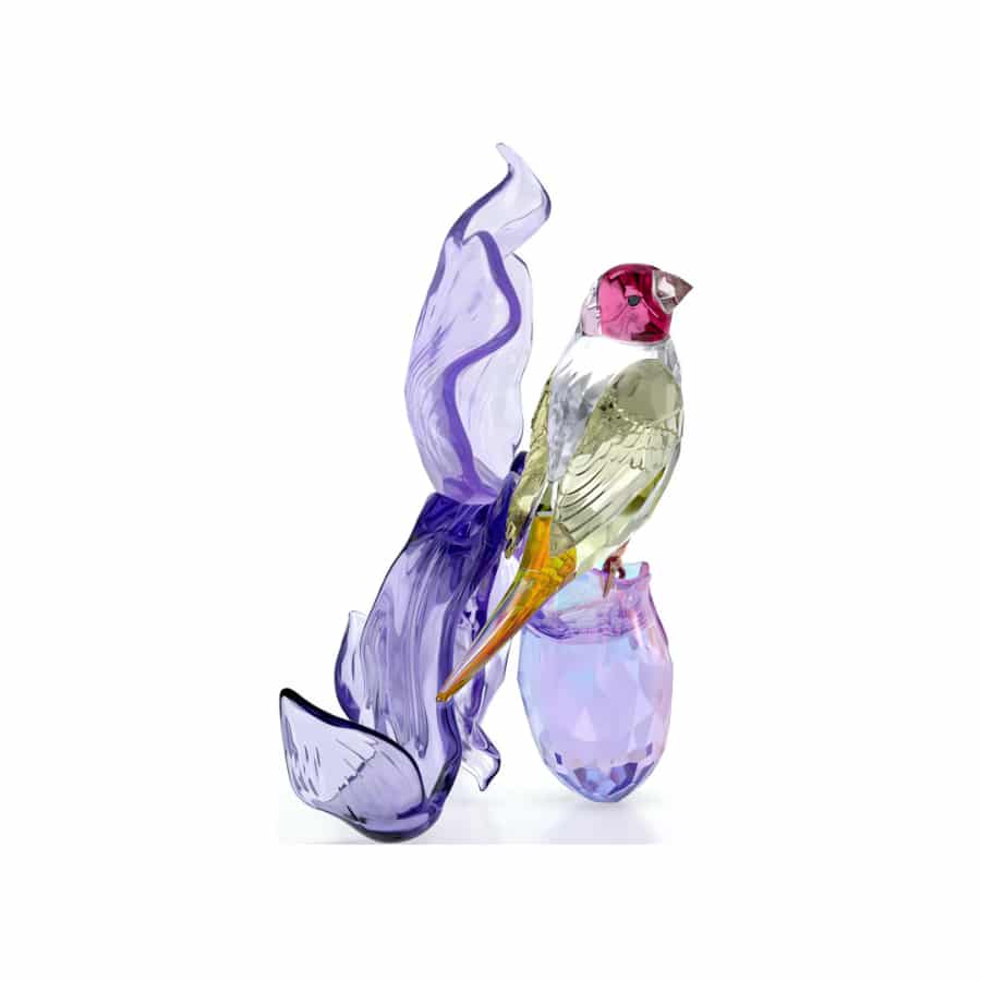 Swarovski Idyllia Gouldian Finch and Orchid figurine with detailed crystal craftsmanship and vibrant colors.