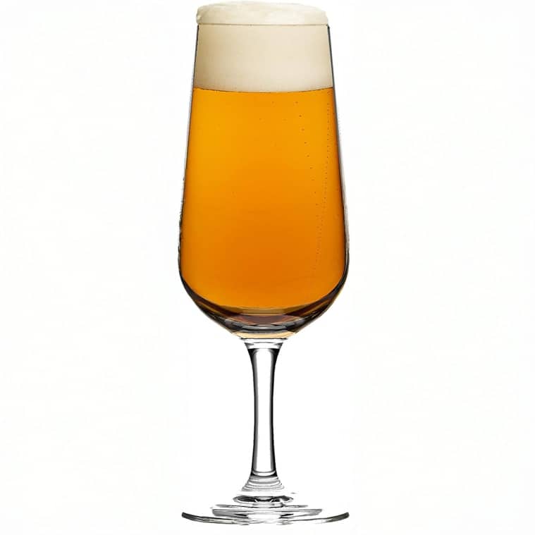 Ritzehoff Aspergo Beer Glass 6pc Set -Ritzenhoff